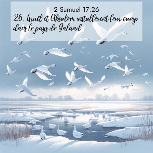 Segond21 2 Samuel  ; image nature: image avec le verset biblique :Israël et Absalom installèrent leur camp dans le pays de Galaad. ;  ; 17:26