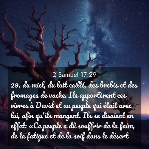 Segond21 2 Samuel  ; image nature: image avec le verset biblique :du miel, du lait caillé, des brebis et des fromages de vache. Ils apportèrent ces vivres à David et au peuple qui était avec lui, afin qu&#039;ils mangent. Ils se disaient en effet: «Ce peuple a dû souffrir de la faim, de la fatigue et de la soif dans le désert.» ;  ; 17:29