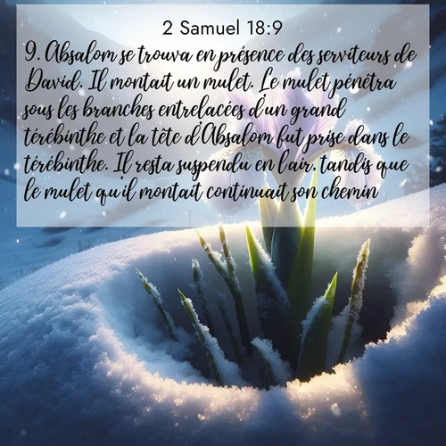 image nature avec verset biblique de la Bible