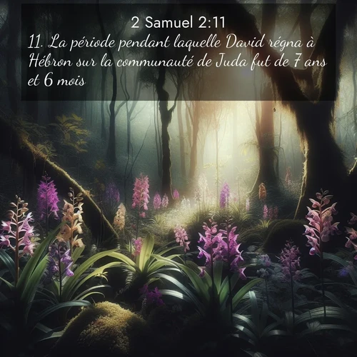 Segond21 2 Samuel  ; image nature: image avec le verset biblique :La période pendant laquelle David régna à Hébron sur la communauté de Juda fut de 7 ans et 6 mois. ;  ; 2:11