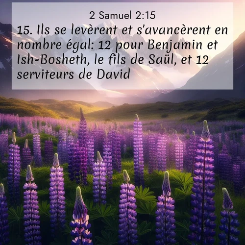 Segond21 2 Samuel  ; image nature: image avec le verset biblique :Ils se levèrent et s&#039;avancèrent en nombre égal: 12 pour Benjamin et Ish-Bosheth, le fils de Saül, et 12 serviteurs de David. ;  ; 2:15