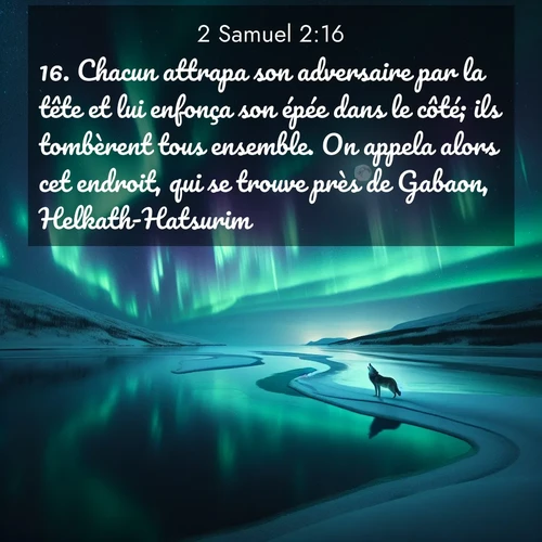 Segond21 2 Samuel  ; image nature: image avec le verset biblique :Chacun attrapa son adversaire par la tête et lui enfonça son épée dans le côté; ils tombèrent tous ensemble. On appela alors cet endroit, qui se trouve près de Gabaon, Helkath-Hatsurim. ;  ; 2:16
