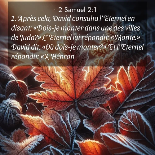 Segond21 2 Samuel  ; image nature: image avec le verset biblique :Après cela, David consulta l&#039;Eternel en disant: «Dois-je monter dans une des villes de Juda?» L&#039;Eternel lui répondit: «Monte.» David dit: «Où dois-je monter?» Et l&#039;Eternel répondit: «A Hébron.» ;  ; 2:1