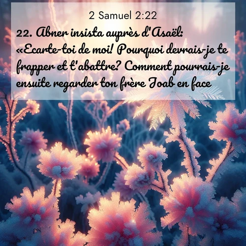 Segond21 2 Samuel  ; image nature: image avec le verset biblique :Abner insista auprès d&#039;Asaël: «Ecarte-toi de moi! Pourquoi devrais-je te frapper et t&#039;abattre? Comment pourrais-je ensuite regarder ton frère Joab en face?» ;  ; 2:22