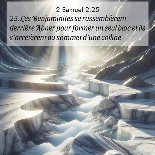 Segond21 2 Samuel  ; image nature: image avec le verset biblique :Les Benjaminites se rassemblèrent derrière Abner pour former un seul bloc et ils s&#039;arrêtèrent au sommet d&#039;une colline. ;  ; 2:25