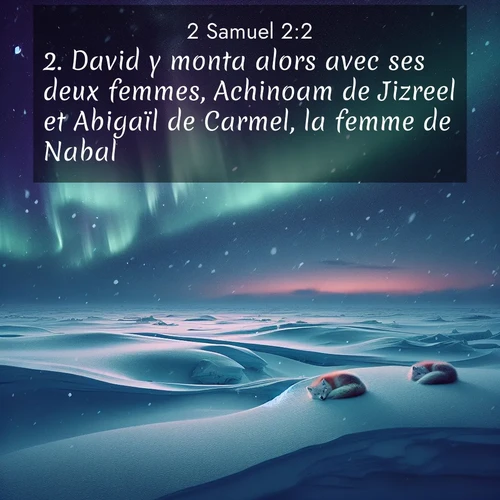 Segond21 2 Samuel  ; image nature: image avec le verset biblique :David y monta alors avec ses deux femmes, Achinoam de Jizreel et Abigaïl de Carmel, la femme de Nabal. ;  ; 2:2
