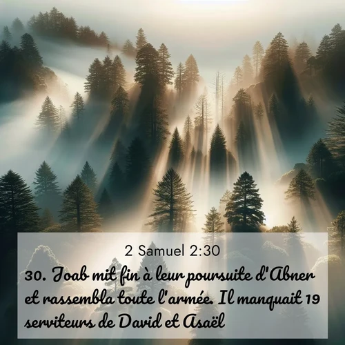 Segond21 2 Samuel  ; image nature: image avec le verset biblique :Joab mit fin à leur poursuite d&#039;Abner et rassembla toute l&#039;armée. Il manquait 19 serviteurs de David et Asaël. ;  ; 2:30