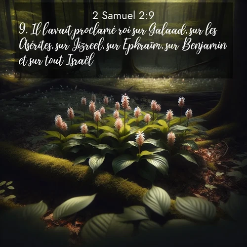 Segond21 2 Samuel  ; image nature: image avec le verset biblique :Il l&#039;avait proclamé roi sur Galaad, sur les Asérites, sur Jizreel, sur Ephraïm, sur Benjamin et sur tout Israël. ;  ; 2:9