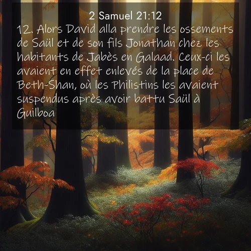 Segond21 2 Samuel  ; image nature: image avec le verset biblique :Alors David alla prendre les ossements de Saül et de son fils Jonathan chez les habitants de Jabès en Galaad. Ceux-ci les avaient en effet enlevés de la place de Beth-Shan, où les Philistins les avaient suspendus après avoir battu Saül à Guilboa. ;  ; 21:12