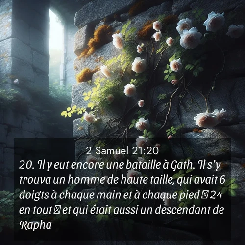 Segond21 2 Samuel  ; image nature: image avec le verset biblique :Il y eut encore une bataille à Gath. Il s&#039;y trouva un homme de haute taille, qui avait 6 doigts à chaque main et à chaque pied  24 en tout  et qui était aussi un descendant de Rapha. ;  ; 21:20