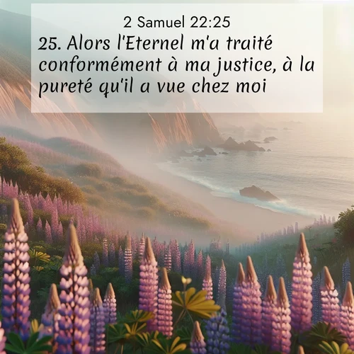 Segond21 2 Samuel  ; image nature: image avec le verset biblique :Alors l&#039;Eternel m&#039;a traité conformément à ma justice, à la pureté qu&#039;il a vue chez moi. ;  ; 22:25