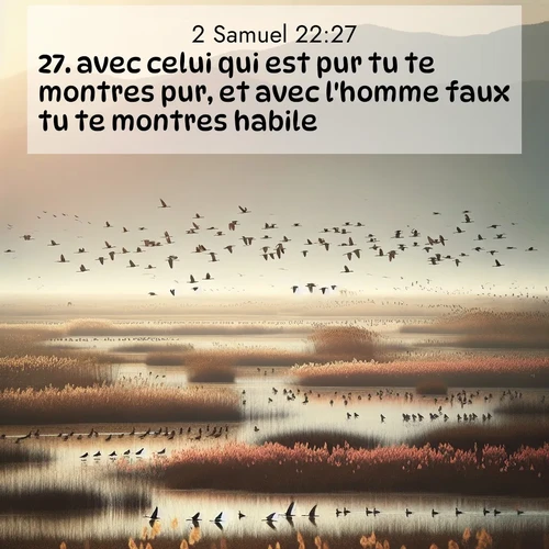 Segond21 2 Samuel  ; image nature: image avec le verset biblique :avec celui qui est pur tu te montres pur, et avec l&#039;homme faux tu te montres habile. ;  ; 22:27
