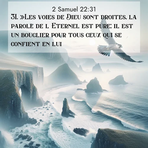 Segond21 2 Samuel  ; image nature: image avec le verset biblique :»Les voies de Dieu sont droites, la parole de l&#039;Eternel est pure; il est un bouclier pour tous ceux qui se confient en lui. ;  ; 22:31
