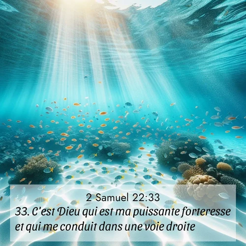 Segond21 2 Samuel  ; image nature: image avec le verset biblique :C&#039;est Dieu qui est ma puissante forteresse et qui me conduit dans une voie droite. ;  ; 22:33