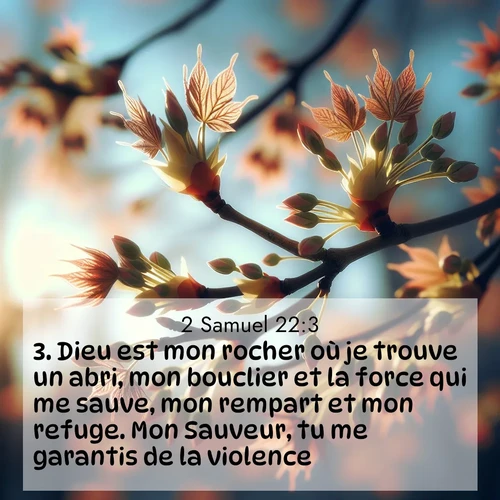 Segond21 2 Samuel  ; image nature: image avec le verset biblique :Dieu est mon rocher où je trouve un abri, mon bouclier et la force qui me sauve, mon rempart et mon refuge. Mon Sauveur, tu me garantis de la violence. ;  ; 22:3