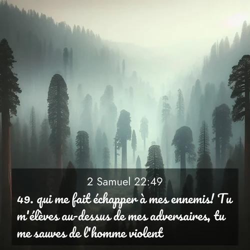 Segond21 2 Samuel  ; image nature: image avec le verset biblique :qui me fait échapper à mes ennemis! Tu m&#039;élèves au-dessus de mes adversaires, tu me sauves de l&#039;homme violent. ;  ; 22:49