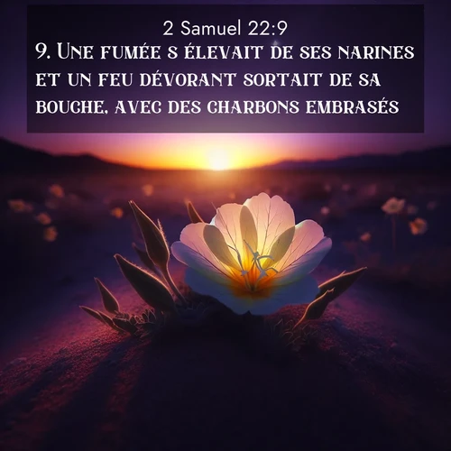 Segond21 2 Samuel  ; image nature: image avec le verset biblique :Une fumée s&#039;élevait de ses narines et un feu dévorant sortait de sa bouche, avec des charbons embrasés. ;  ; 22:9