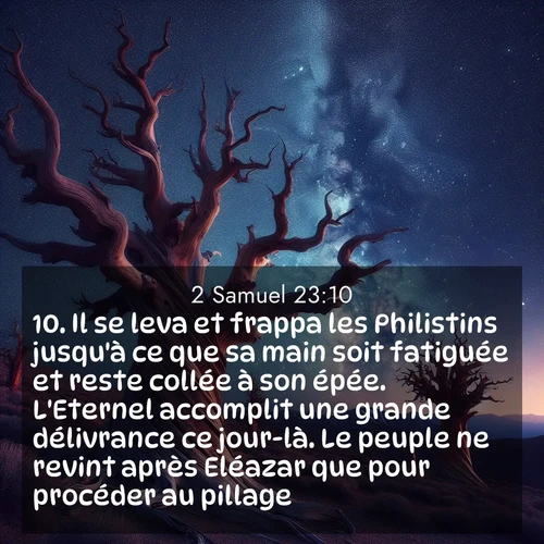 Segond21 2 Samuel  ; image nature: image avec le verset biblique :Il se leva et frappa les Philistins jusqu&#039;à ce que sa main soit fatiguée et reste collée à son épée. L&#039;Eternel accomplit une grande délivrance ce jour-là. Le peuple ne revint après Eléazar que pour procéder au pillage. ;  ; 23:10