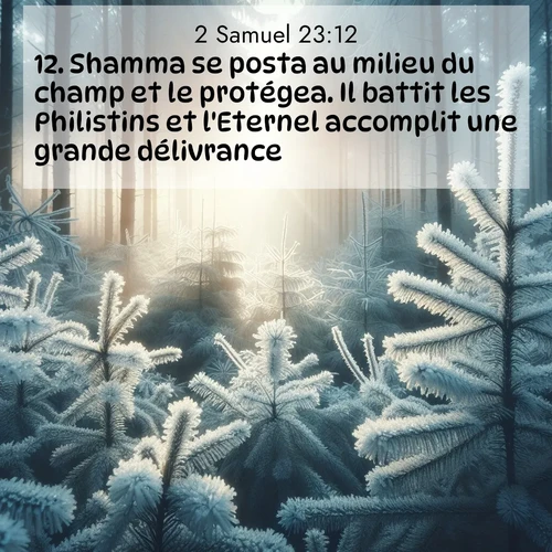 Segond21 2 Samuel  ; image nature: image avec le verset biblique :Shamma se posta au milieu du champ et le protégea. Il battit les Philistins et l&#039;Eternel accomplit une grande délivrance. ;  ; 23:12