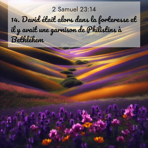Segond21 2 Samuel  ; image nature: image avec le verset biblique :David était alors dans la forteresse et il y avait une garnison de Philistins à Bethléhem. ;  ; 23:14