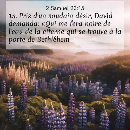 Segond21 2 Samuel  ; image nature: image avec le verset biblique :Pris d&#039;un soudain désir, David demanda: «Qui me fera boire de l&#039;eau de la citerne qui se trouve à la porte de Bethléhem?» ;  ; 23:15