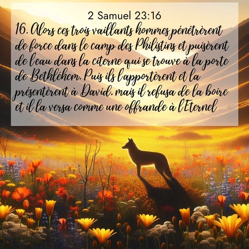Segond21 2 Samuel  ; image nature: image avec le verset biblique :Alors ces trois vaillants hommes pénétrèrent de force dans le camp des Philistins et puisèrent de l&#039;eau dans la citerne qui se trouve à la porte de Bethléhem. Puis ils l&#039;apportèrent et la présentèrent à David, mais il refusa de la boire et il la versa comme une offrande à l&#039;Eternel. ;  ; 23:16