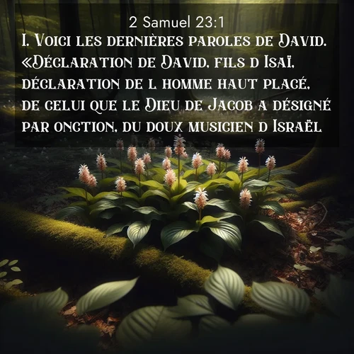 Segond21 2 Samuel  ; image nature: image avec le verset biblique :Voici les dernières paroles de David. «Déclaration de David, fils d&#039;Isaï, déclaration de l&#039;homme haut placé, de celui que le Dieu de Jacob a désigné par onction, du doux musicien d&#039;Israël. ;  ; 23:1