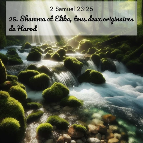 Segond21 2 Samuel  ; image nature: image avec le verset biblique :Shamma et Elika, tous deux originaires de Harod; ;  ; 23:25