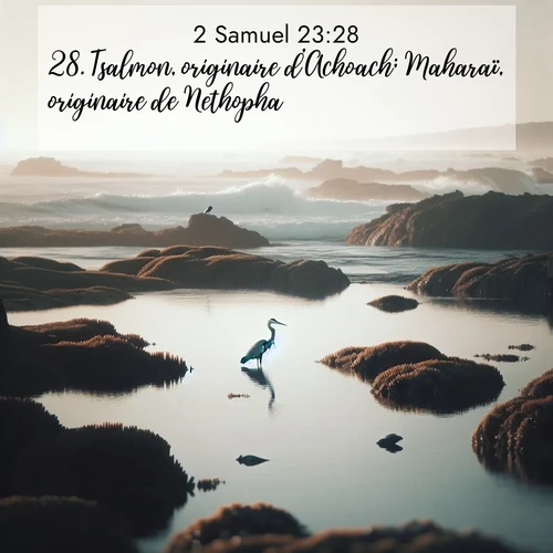 Segond21 2 Samuel  ; image nature: image avec le verset biblique :Tsalmon, originaire d&#039;Achoach; Maharaï, originaire de Nethopha; ;  ; 23:28