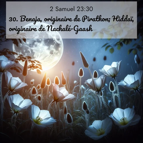 Segond21 2 Samuel  ; image nature: image avec le verset biblique :Benaja, originaire de Pirathon; Hiddaï, originaire de Nachalé-Gaash; ;  ; 23:30