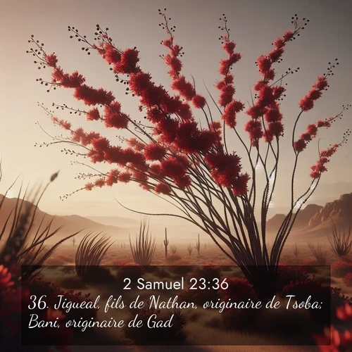 Segond21 2 Samuel  ; image nature: image avec le verset biblique :Jigueal, fils de Nathan, originaire de Tsoba; Bani, originaire de Gad; ;  ; 23:36