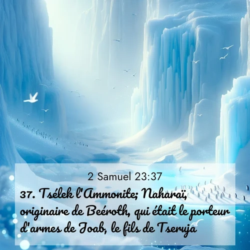 Segond21 2 Samuel  ; image nature: image avec le verset biblique :Tsélek l&#039;Ammonite; Naharaï, originaire de Beéroth, qui était le porteur d&#039;armes de Joab, le fils de Tseruja; ;  ; 23:37