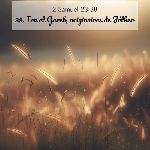 Segond21 2 Samuel  ; image nature: image avec le verset biblique :Ira et Gareb, originaires de Jéther; ;  ; 23:38