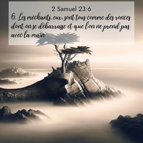 Segond21 2 Samuel  ; image nature: image avec le verset biblique :Les méchants, eux, sont tous comme des ronces dont on se débarrasse et que l&#039;on ne prend pas avec la main. ;  ; 23:6
