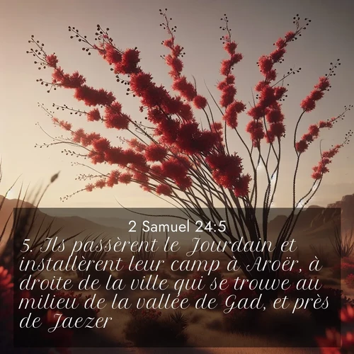 Segond21 2 Samuel  ; image nature: image avec le verset biblique :Ils passèrent le Jourdain et installèrent leur camp à Aroër, à droite de la ville qui se trouve au milieu de la vallée de Gad, et près de Jaezer. ;  ; 24:5