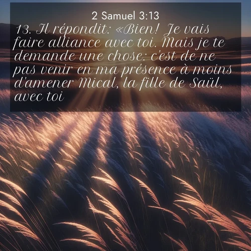 Segond21 2 Samuel  ; image nature: image avec le verset biblique :Il répondit: «Bien! Je vais faire alliance avec toi. Mais je te demande une chose: c&#039;est de ne pas venir en ma présence à moins d&#039;amener Mical, la fille de Saül, avec toi.» ;  ; 3:13