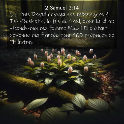 Segond21 2 Samuel  ; image nature: image avec le verset biblique :Puis David envoya des messagers à Ish-Bosheth, le fils de Saül, pour lui dire: «Rends-moi ma femme Mical! Elle était devenue ma fiancée pour 100 prépuces de Philistins.» ;  ; 3:14
