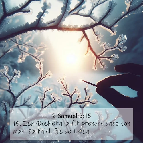 Segond21 2 Samuel  ; image nature: image avec le verset biblique :Ish-Bosheth la fit prendre chez son mari Palthiel, fils de Laïsh. ;  ; 3:15