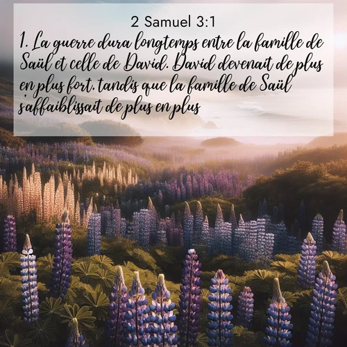 Segond21 2 Samuel  ; image nature: image avec le verset biblique :La guerre dura longtemps entre la famille de Saül et celle de David. David devenait de plus en plus fort, tandis que la famille de Saül s&#039;affaiblissait de plus en plus. ;  ; 3:1