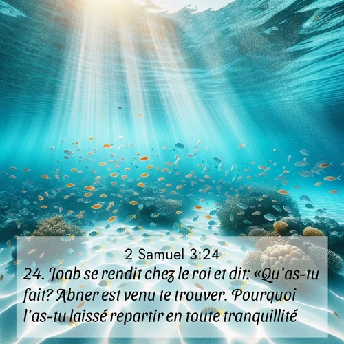 Segond21 2 Samuel  ; image nature: image avec le verset biblique :Joab se rendit chez le roi et dit: «Qu&#039;as-tu fait? Abner est venu te trouver. Pourquoi l&#039;as-tu laissé repartir en toute tranquillité? ;  ; 3:24