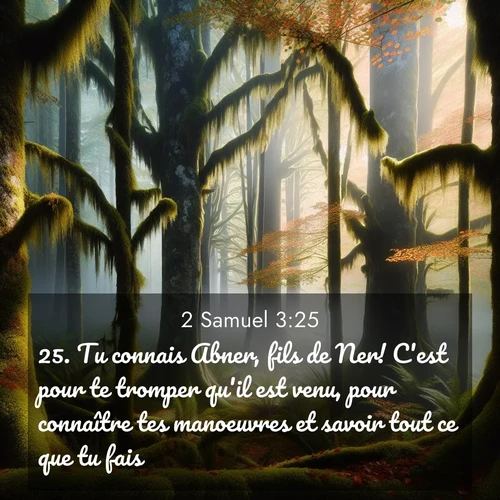 Segond21 2 Samuel  ; image nature: image avec le verset biblique :Tu connais Abner, fils de Ner! C&#039;est pour te tromper qu&#039;il est venu, pour connaître tes manoeuvres et savoir tout ce que tu fais.» ;  ; 3:25