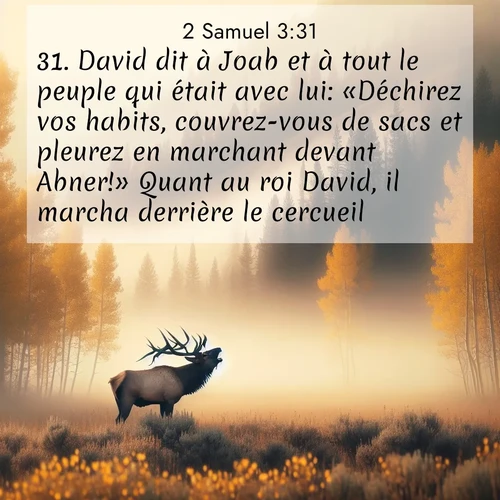 Segond21 2 Samuel  ; image nature: image avec le verset biblique :David dit à Joab et à tout le peuple qui était avec lui: «Déchirez vos habits, couvrez-vous de sacs et pleurez en marchant devant Abner!» Quant au roi David, il marcha derrière le cercueil. ;  ; 3:31
