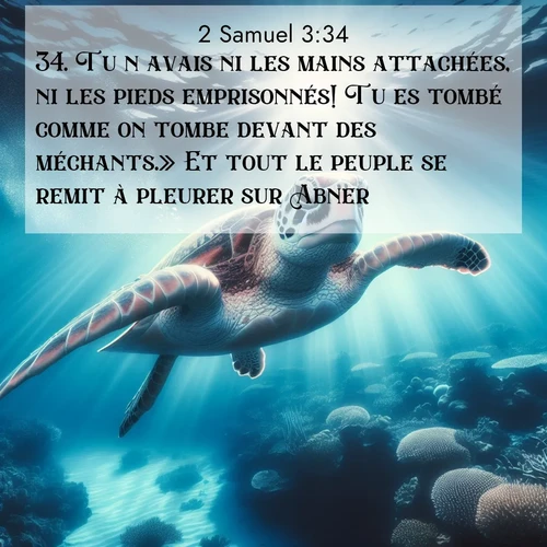 Segond21 2 Samuel  ; image nature: image avec le verset biblique :Tu n&#039;avais ni les mains attachées, ni les pieds emprisonnés! Tu es tombé comme on tombe devant des méchants.» Et tout le peuple se remit à pleurer sur Abner. ;  ; 3:34