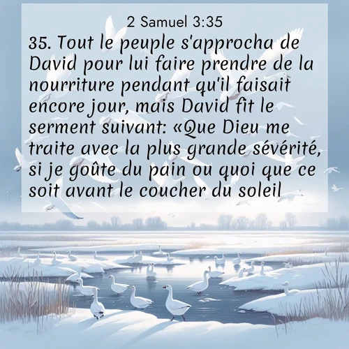 Segond21 2 Samuel  ; image nature: image avec le verset biblique :Tout le peuple s&#039;approcha de David pour lui faire prendre de la nourriture pendant qu&#039;il faisait encore jour, mais David fit le serment suivant: «Que Dieu me traite avec la plus grande sévérité, si je goûte du pain ou quoi que ce soit avant le coucher du soleil!» ;  ; 3:35