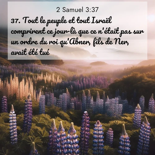 Segond21 2 Samuel  ; image nature: image avec le verset biblique :Tout le peuple et tout Israël comprirent ce jour-là que ce n&#039;était pas sur un ordre du roi qu&#039;Abner, fils de Ner, avait été tué. ;  ; 3:37