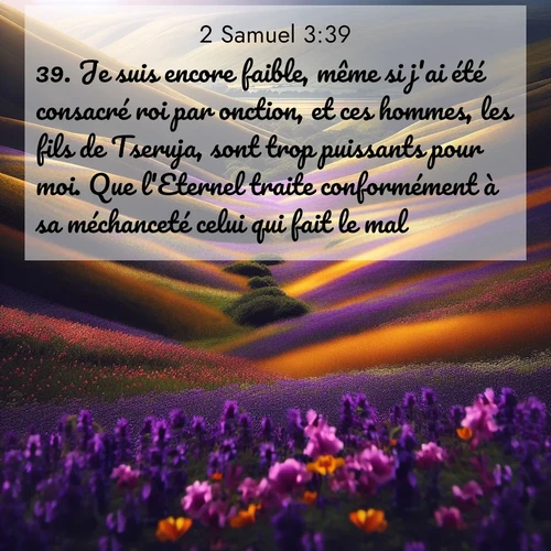 Segond21 2 Samuel  ; image nature: image avec le verset biblique :Je suis encore faible, même si j&#039;ai été consacré roi par onction, et ces hommes, les fils de Tseruja, sont trop puissants pour moi. Que l&#039;Eternel traite conformément à sa méchanceté celui qui fait le mal!» ;  ; 3:39