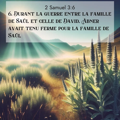 Segond21 2 Samuel  ; image nature: image avec le verset biblique :Durant la guerre entre la famille de Saül et celle de David, Abner avait tenu ferme pour la famille de Saül. ;  ; 3:6