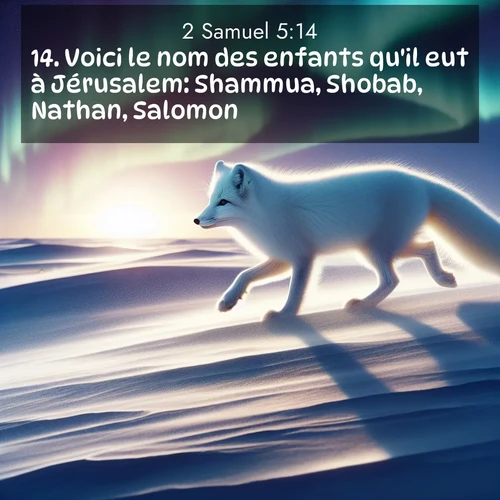 Segond21 2 Samuel  ; image nature: image avec le verset biblique :Voici le nom des enfants qu&#039;il eut à Jérusalem: Shammua, Shobab, Nathan, Salomon, ;  ; 5:14