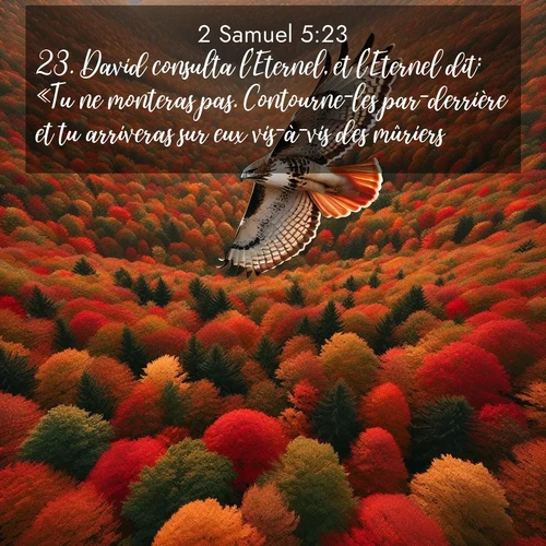 Segond21 2 Samuel  ; image nature: image avec le verset biblique :David consulta l&#039;Eternel, et l&#039;Eternel dit: «Tu ne monteras pas. Contourne-les par-derrière et tu arriveras sur eux vis-à-vis des mûriers. ;  ; 5:23