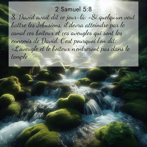 Segond21 2 Samuel  ; image nature: image avec le verset biblique :David avait dit ce jour-là: «Si quelqu&#039;un veut battre les Jébusiens, il devra atteindre par le canal ces boiteux et ces aveugles qui sont les ennemis de David. C&#039;est pourquoi l&#039;on dit: «L&#039;aveugle et le boiteux n&#039;entreront pas dans le temple.» ;  ; 5:8
